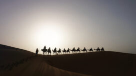 Camel caravan on the dune of Erg Chebbi at Morocco