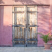 Old wooden door in vintage style on the red wall with green palm bush which is growing on the ceramic vase. Italy home style.