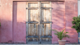 Old wooden door in vintage style on the red wall with green palm bush which is growing on the ceramic vase. Italy home style.