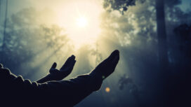 Teenage girl with praying in sunny nature. Young girl meditate in the green forest with sun lights background.